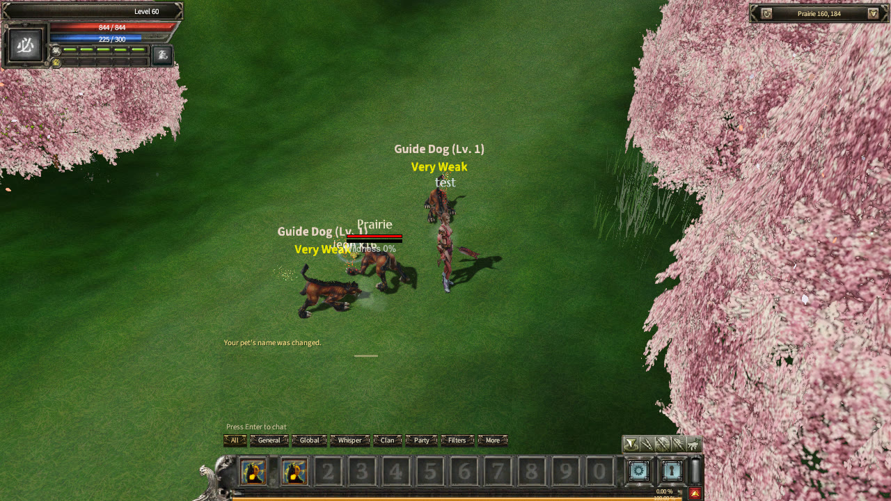 A Mage stands beside a named pet and wild Guide Dogs in Prairie